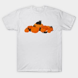 Black Cat Pumpkin Patch T-Shirt